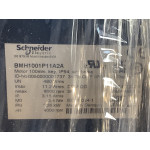 BMH1001P11A2A