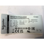 SH30701P02A2000