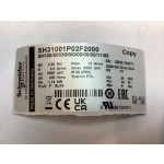 SH31001P02F2000