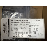 SH31002P12F2000