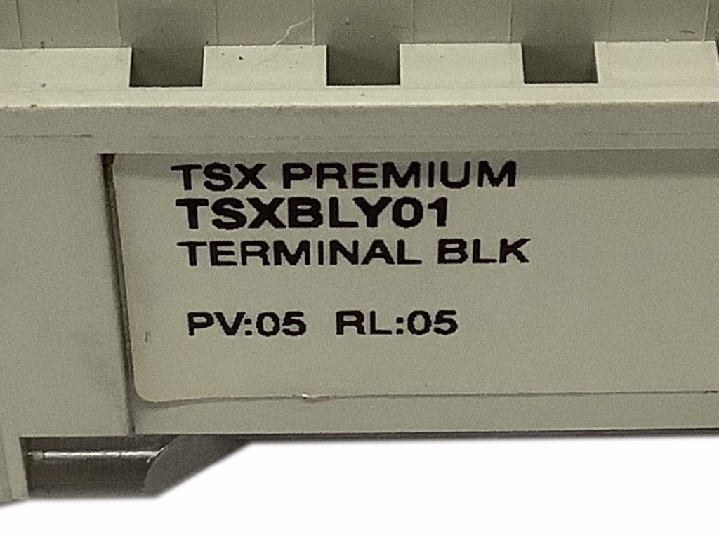 TSXBLY01 TSXBLY01