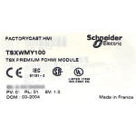 TSXWMY100
